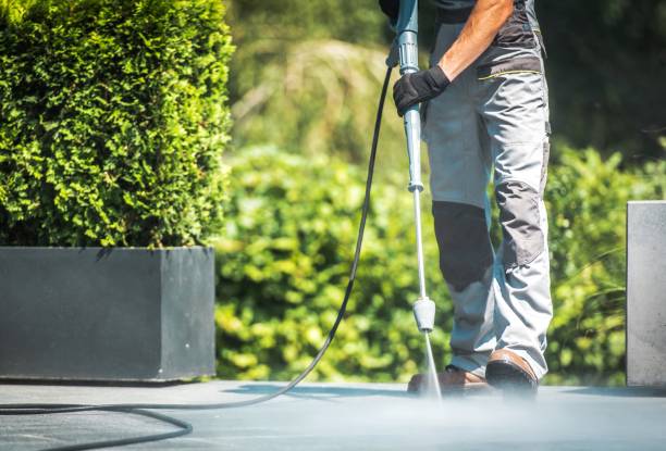 Best Dumpster Area Cleaning  in Zelienople, PA